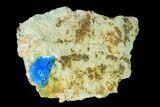 Vibrant Blue Chalcanthite Crystals - Mina Ojuela, Mexico #136843-1
